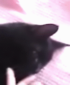 ななとお遊び2