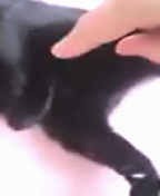 ななとお遊び01