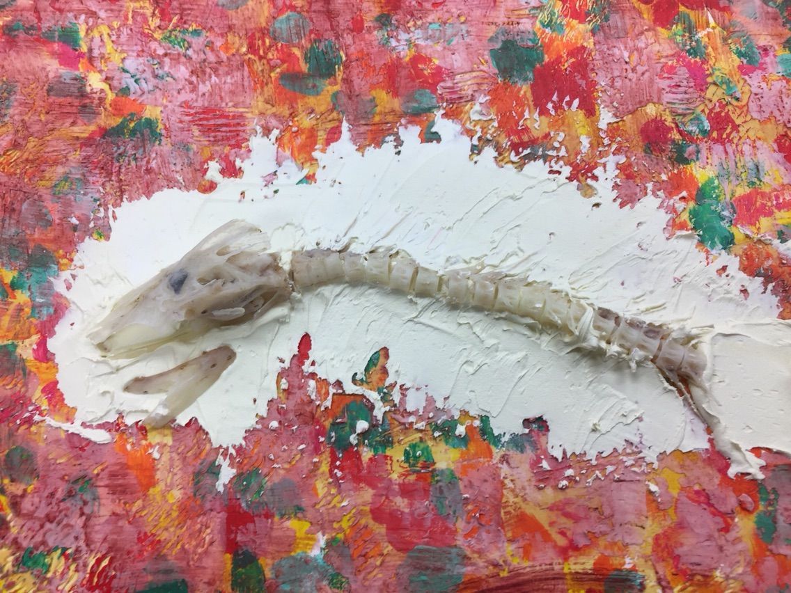 魚の骨を化石のように描く 前編 えかきの思考 魚の骨を化石のように描く 前編 えかきの思考