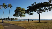 IMG_20170713_181241