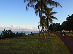P8283082