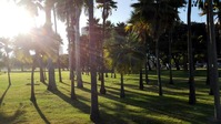 IMG_20170713_180948