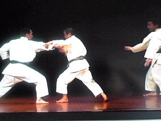 三人の武人 ほぼ空手日記