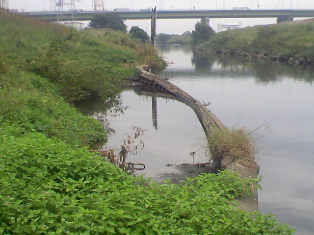 新河岸 川 釣り