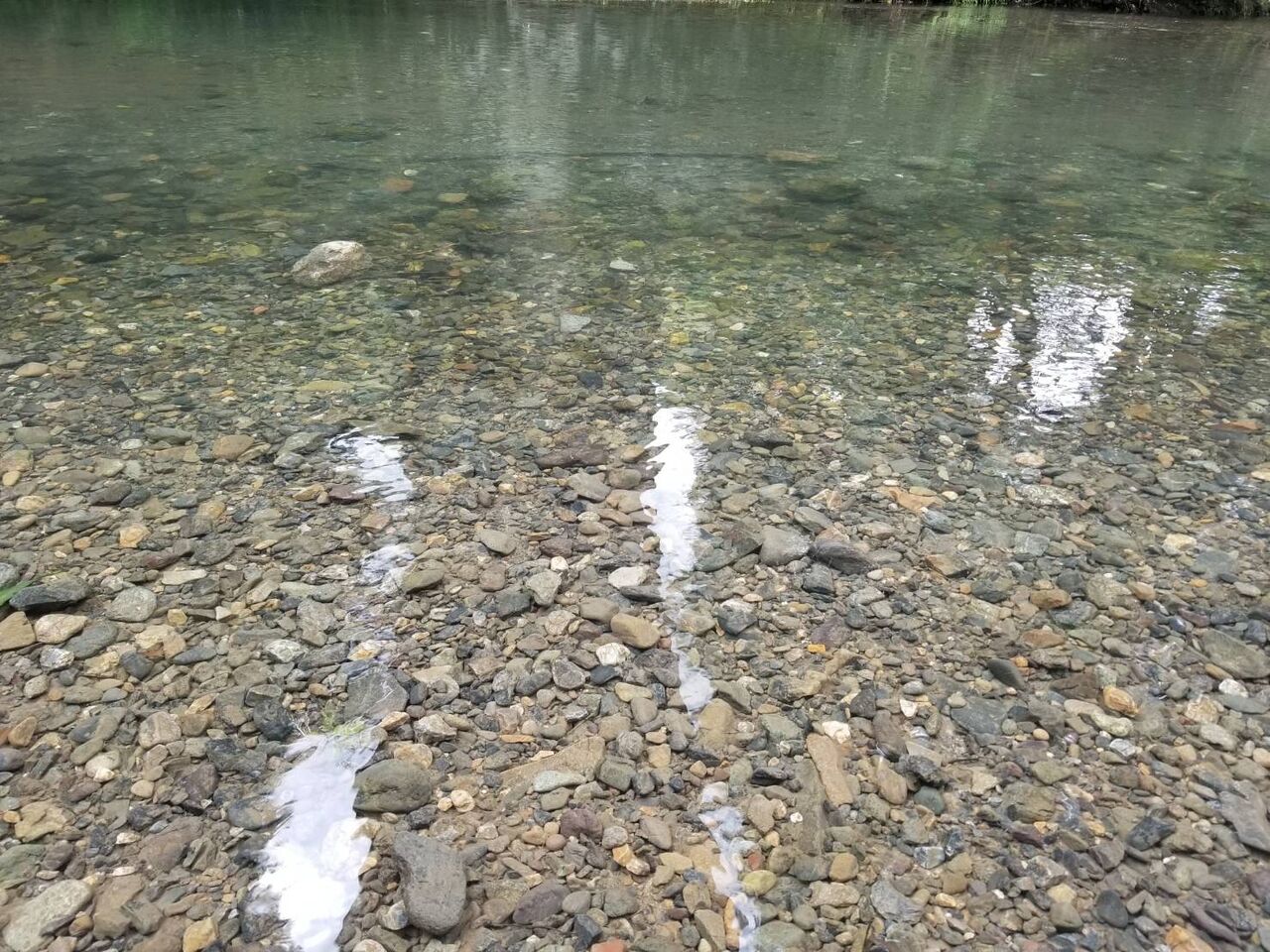川に癒されてたら怖くなって帰った話 かぁたんの日常 川に癒されてたら怖くなって帰った話 かぁたんの日常