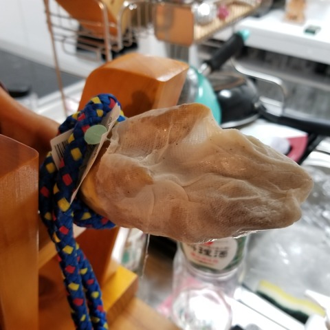 生ハムの原木 (7)