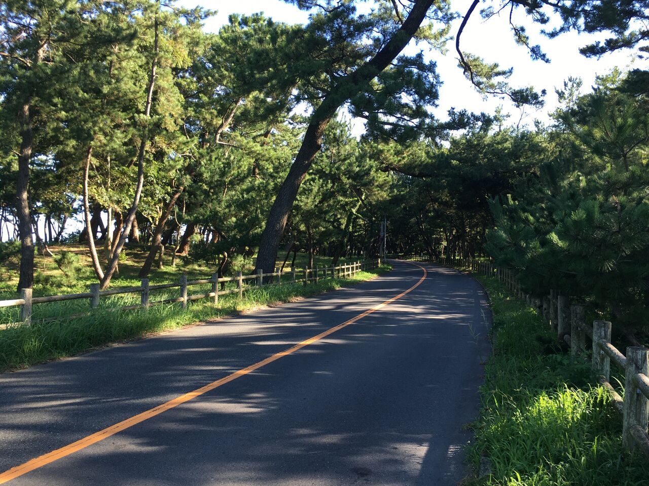 福岡 宗像 ツーリング気分を高めるさつき松原 Fun Ride バイク Blog With S1000r