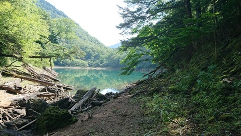 7EB80D59-E15E-452A-8BCD-92B8A3CD9076