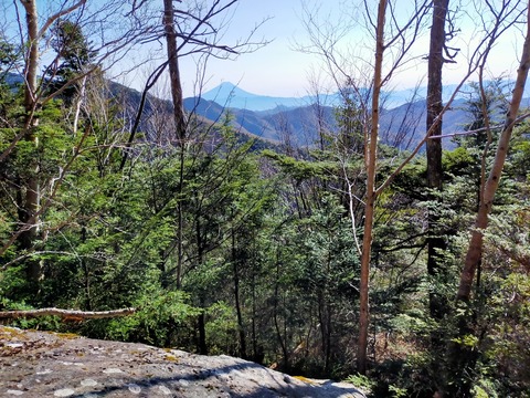 56DAE15B-1CC4-4495-84DD-0CFA8057BF1F