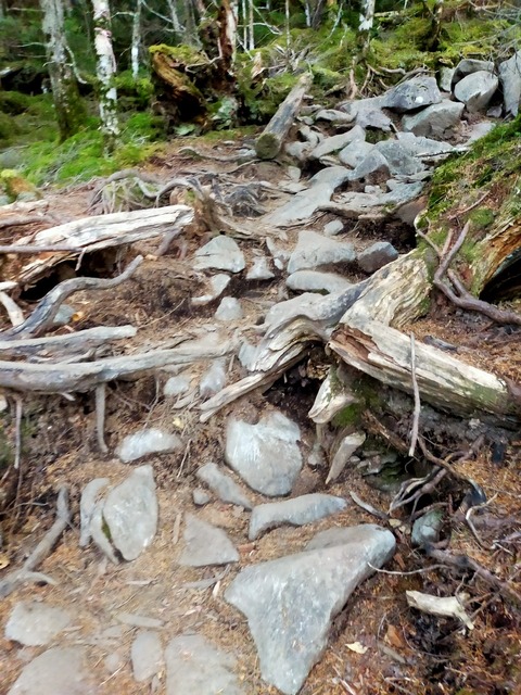 EEE280B8-DB4C-410A-8790-0B7B91C0C94F