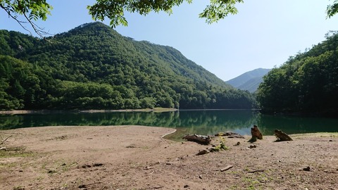 DD97A01A-A10F-43B8-A5E7-D65D10CE1294