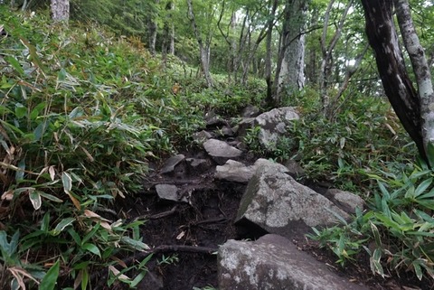 75A4D4E5-DD67-4591-8802-FBD788648429