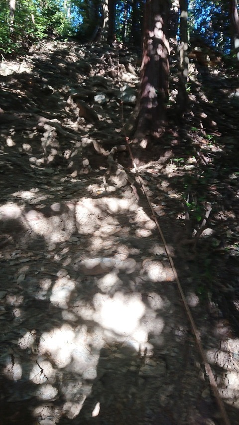 0224AB66-0AFB-47A1-B4DE-30F17A6A8B01