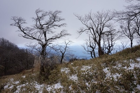 E93869E8-A3D2-4E2F-91E8-1BB99274CA4A