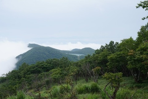 1F81F7A1-505D-4DED-9BBC-3B5E89D12442