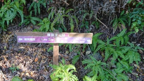 BE295D34-BF66-4D99-BD2E-D6C953DC4536