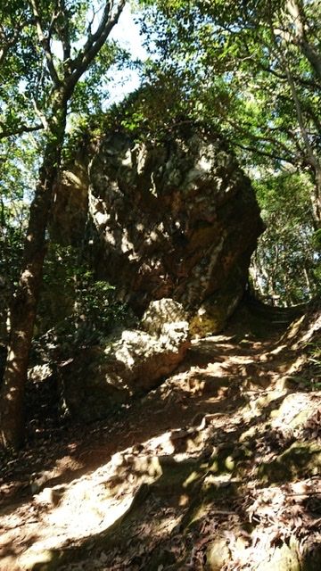 36F15ED7-A433-4B85-955B-5F039C9CEECD