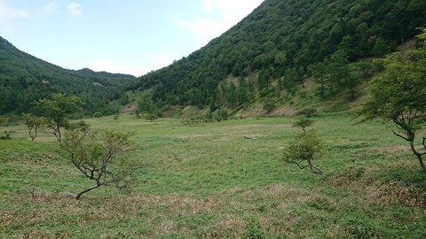 2A36CF3B-17BC-4648-B008-83F177815D1F