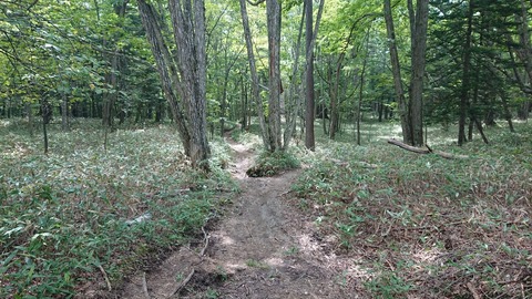 9E203AA8-D94E-4D1B-B45E-F75CFC4A8DF5