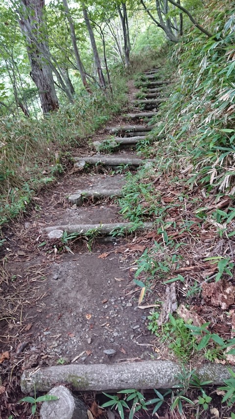 B7538645-127E-4A7D-80A7-F6FB0F6B6257