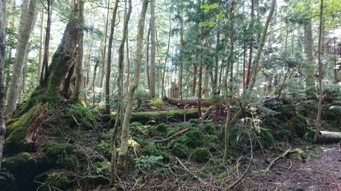 3D908B84-47DD-4106-A81E-9814C779EC96