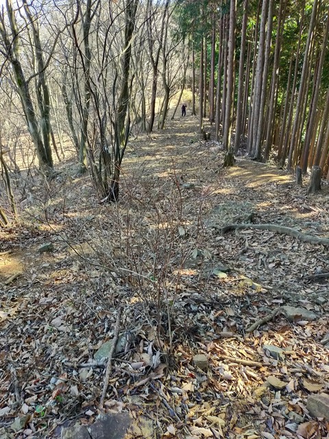 C3EB5D41-5B76-4C88-9E3E-73CA826A1C3A