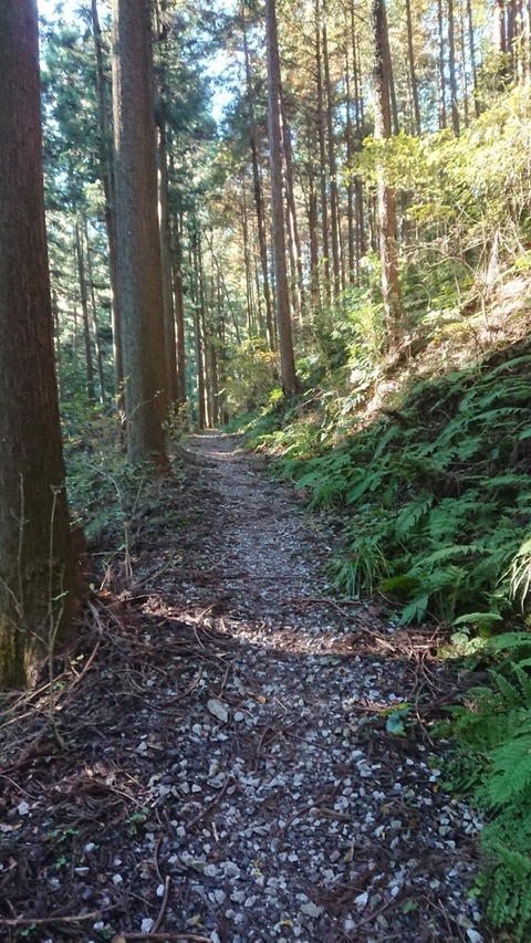 B35E390D-4260-441B-B82F-023203B2CF16