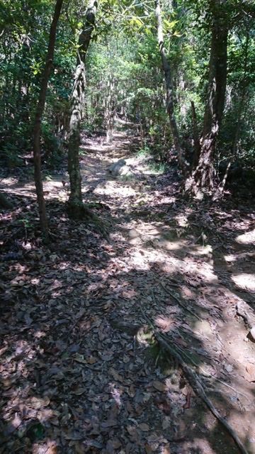 60F588BB-460E-4D83-A2C8-BEF46FF6E9B0