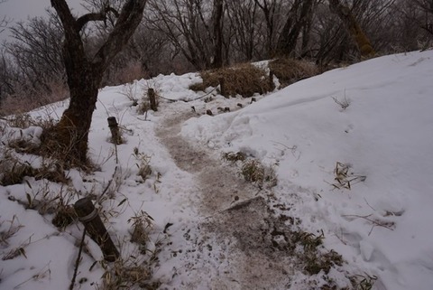 CDA9E4F8-42BF-455D-8E67-3A7EC7CC0BA7