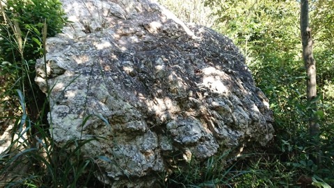 C709EC76-7C45-4375-87D1-4D8EA1DC9F3A