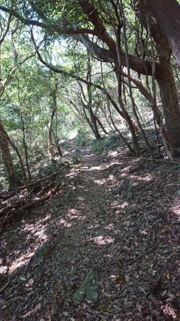 91F0357F-FC5F-4421-9456-B5EB149F852B