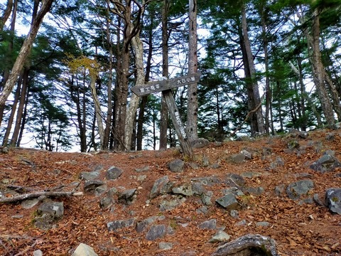 B163837B-B0BA-40C5-8751-3BDCC2D0C319