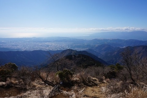 44F11DCF-7045-4F36-BCC6-C192DBC5B57E