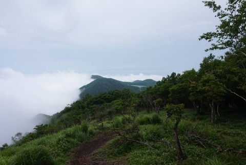 205FB6D9-791C-46F6-B900-C8551D3483AB