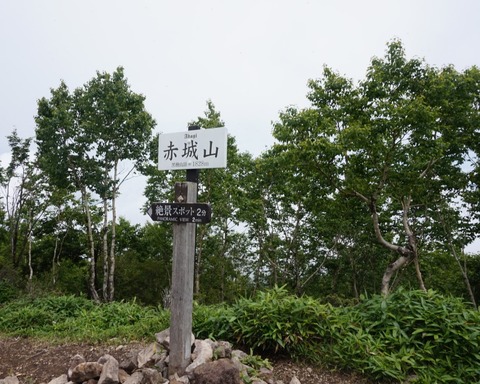 295ED7A2-9110-4EBB-94A5-136AE1DE711F