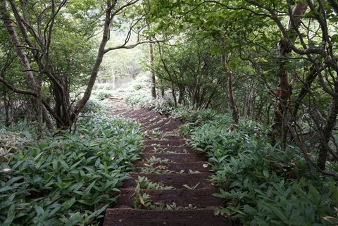 A1B0BCB6-F6A4-4ECB-9E5C-FDE8359AD422