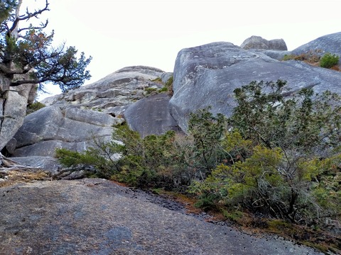 D0C95B97-C17B-4DB2-A4EB-4EE6B50F544B