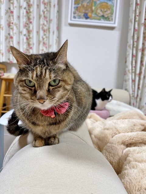 ファイル_000 (2)