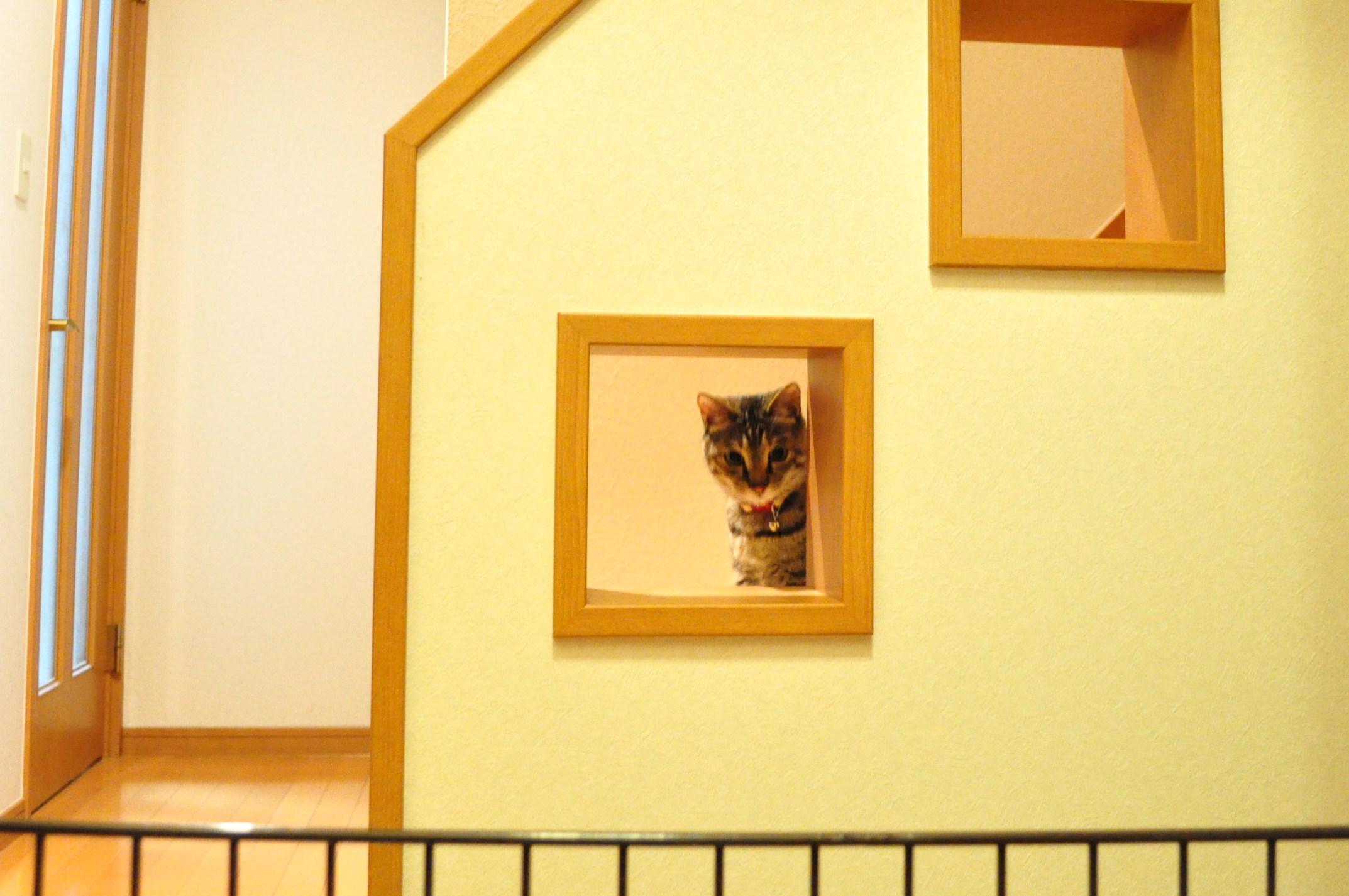 01781e9c.jpg