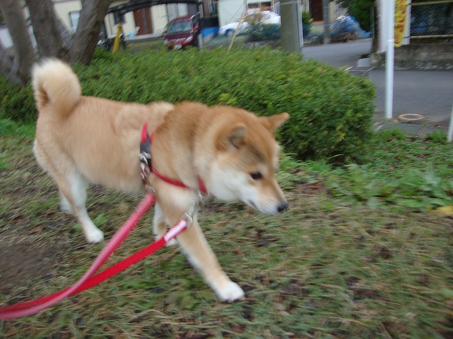 0182afa1.jpg