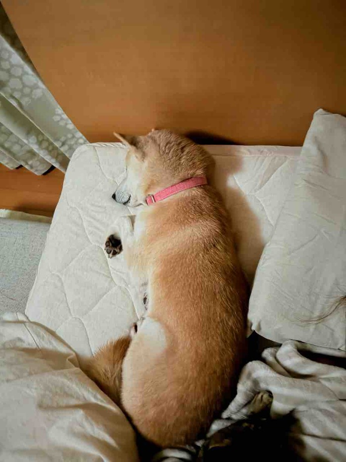FullSizeRender