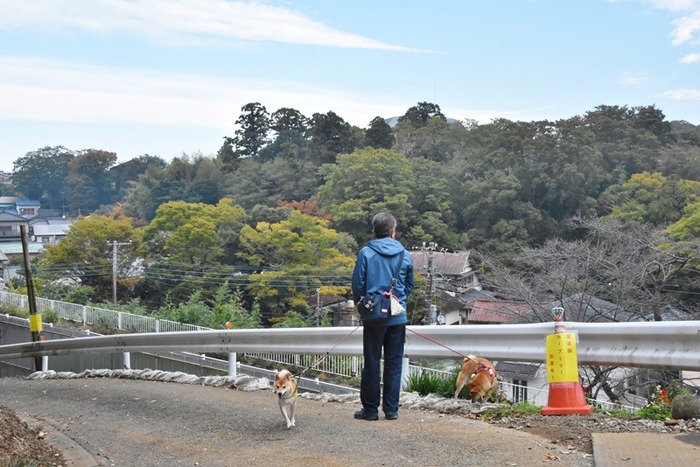 DSC_8756 (2)