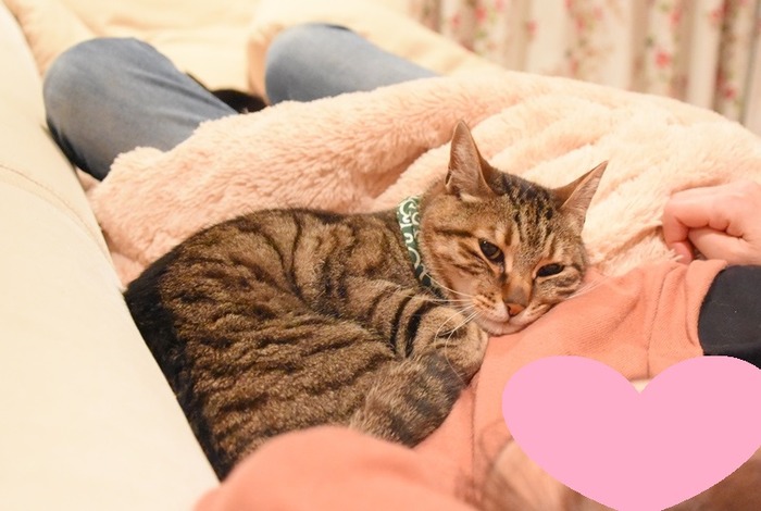 DSC_4742 (2)