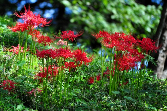 0672a2d9.jpg