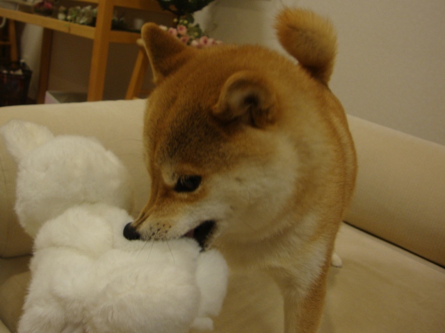 070116f2.jpg