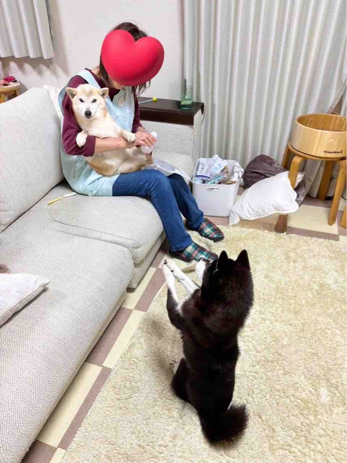 FullSizeRender