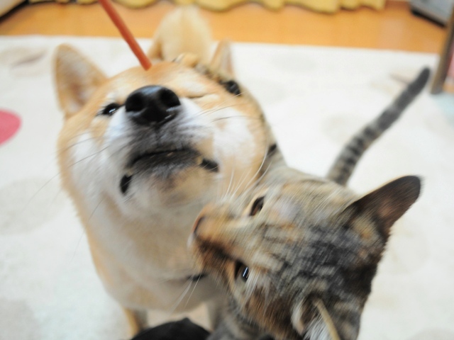 0822e547.jpg