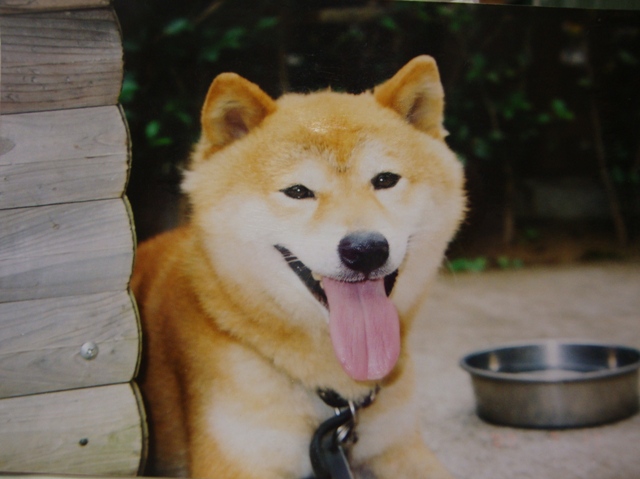 0953144d.jpg