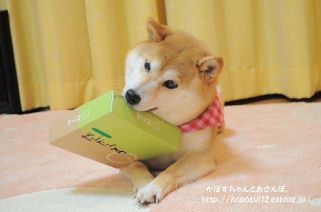 0a33dbb6.jpg