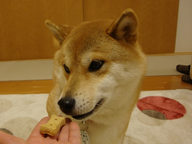 0a894e4e.jpg